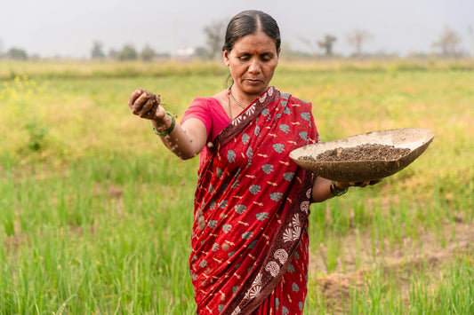 Depth Farming vs Fast Farming: Why Organic Sudha's Desi Pulses Are More Nutritious