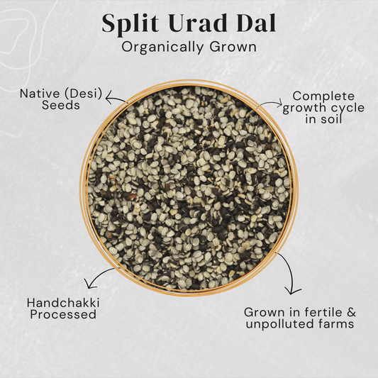 Desi Split Urad Dal
