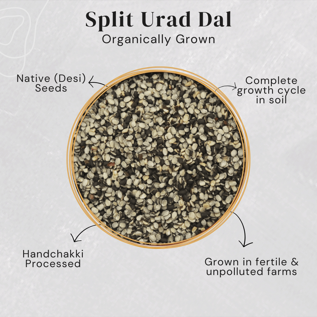 Split urad dal in a bowl with text describing its growth and processing 
