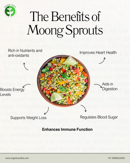 soaked sabut moong dal sprouting whole green gram organic